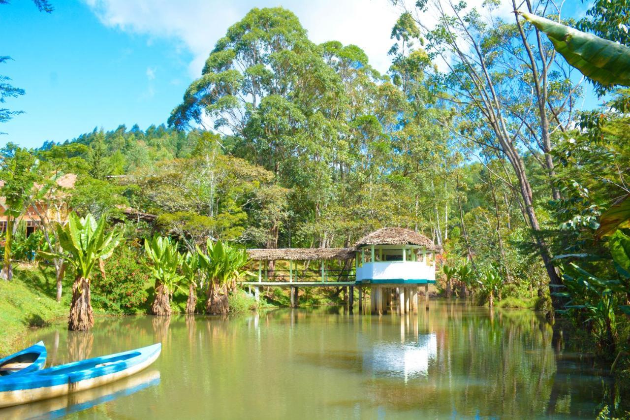 Andasibe Cyperus Hotel Moramanga Buitenkant foto